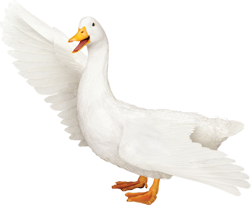 Download Aflac Logo Png - Transparent Aflac Duck Clipart Png Download