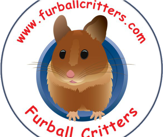 Hamster Clipart Dwarf Hamster Logo Hamsters Png Download Large Size Png Image Pikpng