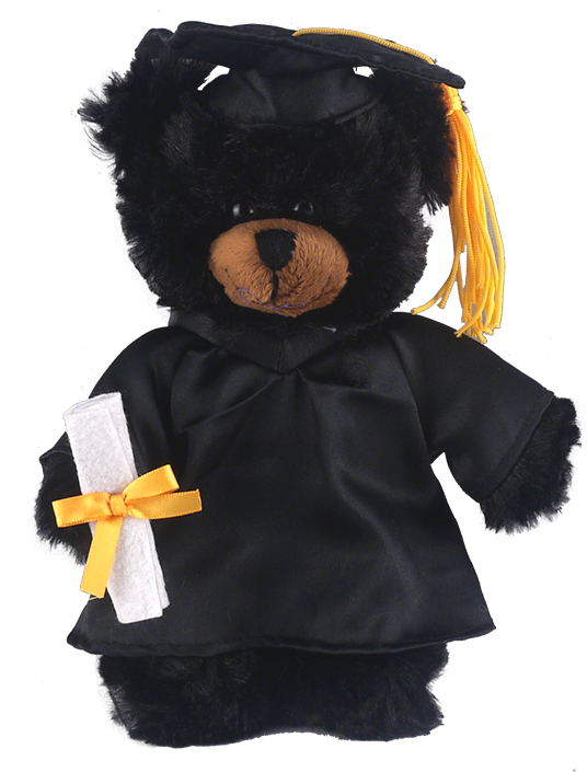 Black Teddy Bear - Teddy Bear Clipart - Large Size Png Image - PikPng