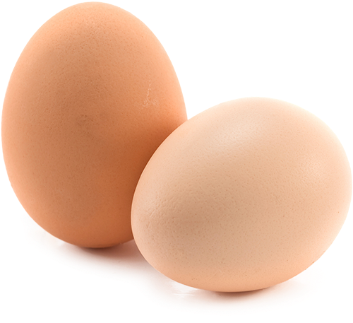 Download Two Eggs Png Clipart Png Download - PikPng