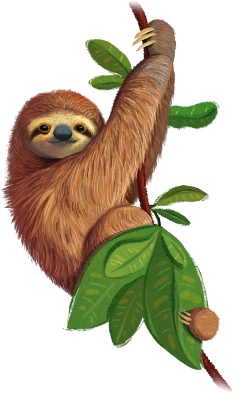 Download Kindergarten Through 6th Grade - Three-toed Sloth Clipart Png