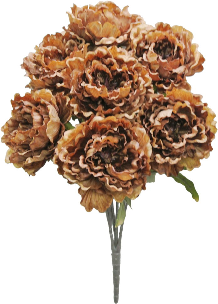 53843-brn - Transparent Brown Flowers Clipart - Large Size Png Image ...