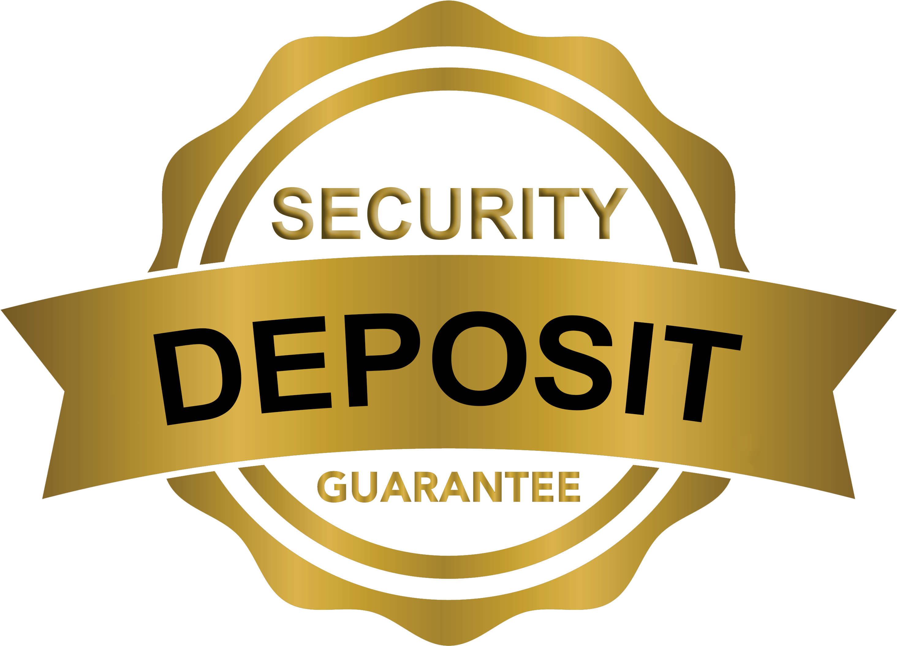 Security deposit. Deposit лого. Бейдж секьюрити. Deposit logo PNG.