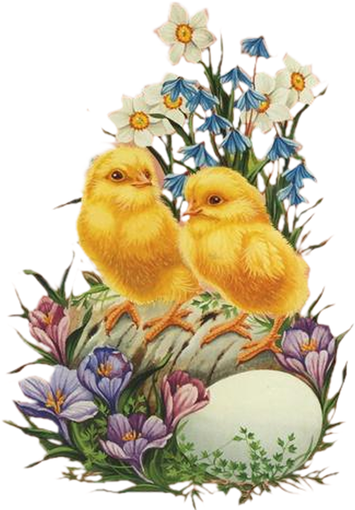 Easter Chicks And Flowers Easter Clipart Large Size Png Image Pikpng