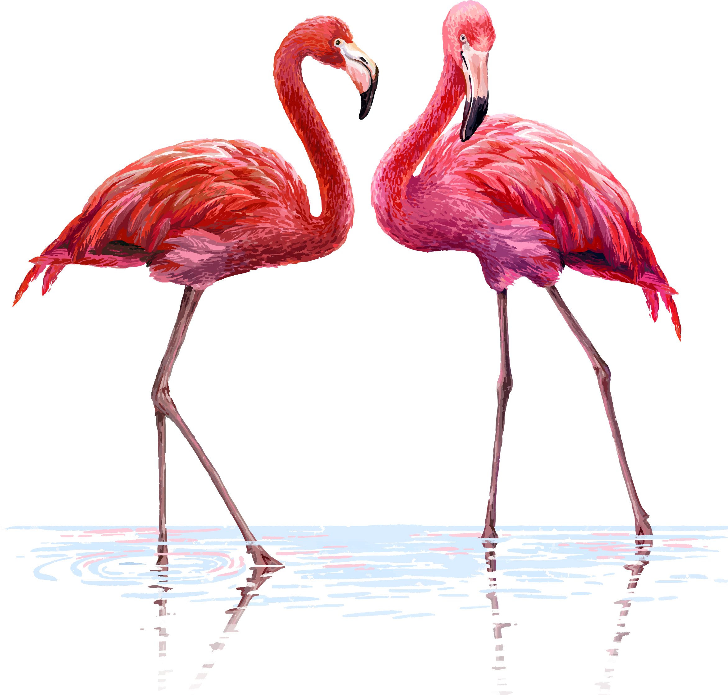 Flamingo Flamingos Watercolor Water Background Flamenco Watercolor Flamingo Clipart Large Size Png Image Pikpng