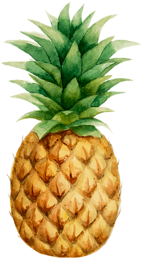 Prendadaeavo Pineapple Drawing Pineapple Wallpaper Watercolor Pineapple Free Vector Clipart Large Size Png Image Pikpng