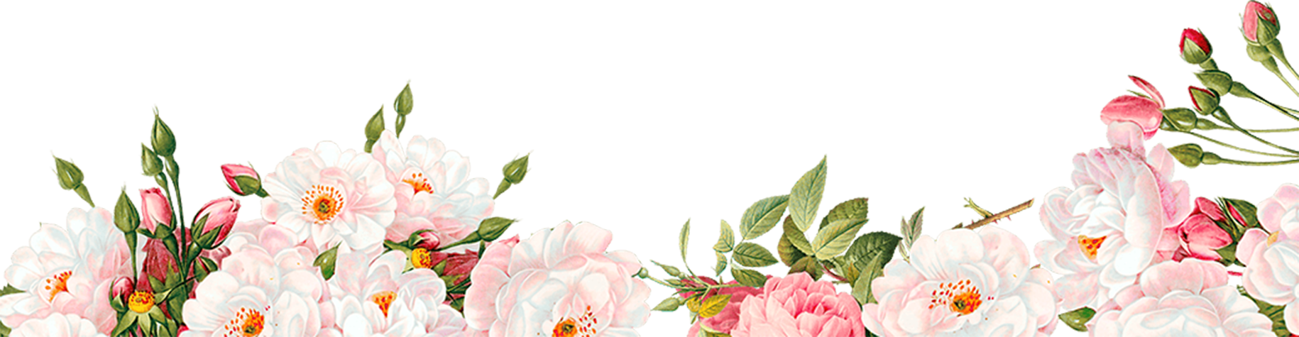 Download Watercolour Flower Border Png Image Free Searchpng - Free