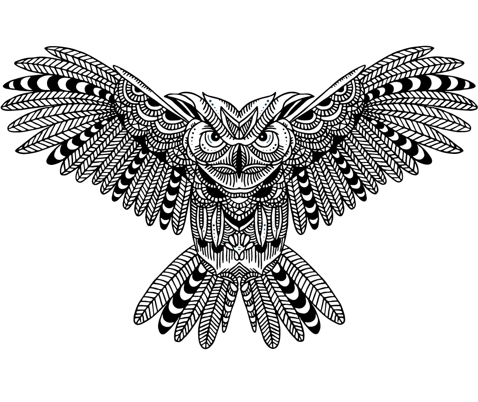 Owl Clipart - Large Size Png Image - PikPng