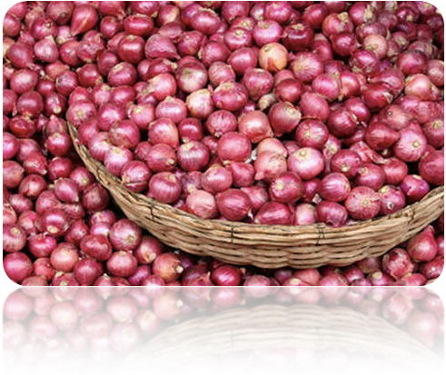 Bangladesh Onion Clipart (494x634), Png Download