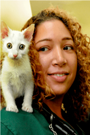 Doctor Christina East At Riverside Animal Hospital - Kitten Clipart (1000x594), Png Download