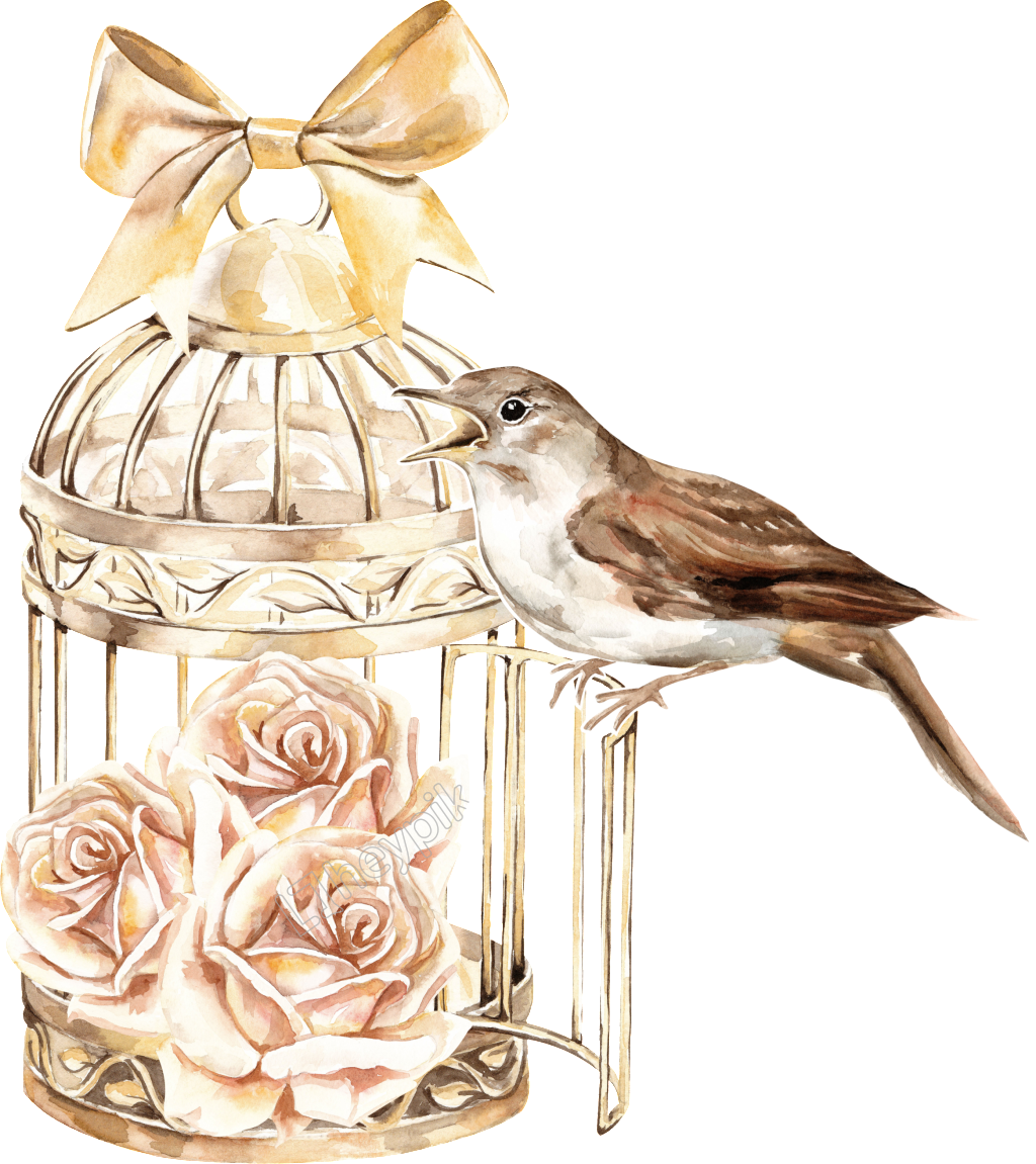 Classical Bird Cage - Birdcage Floral Watercolor Clipart - Large Size ...