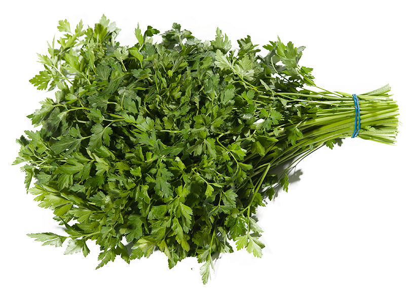 Parsley Clipart (800x800), Png Download