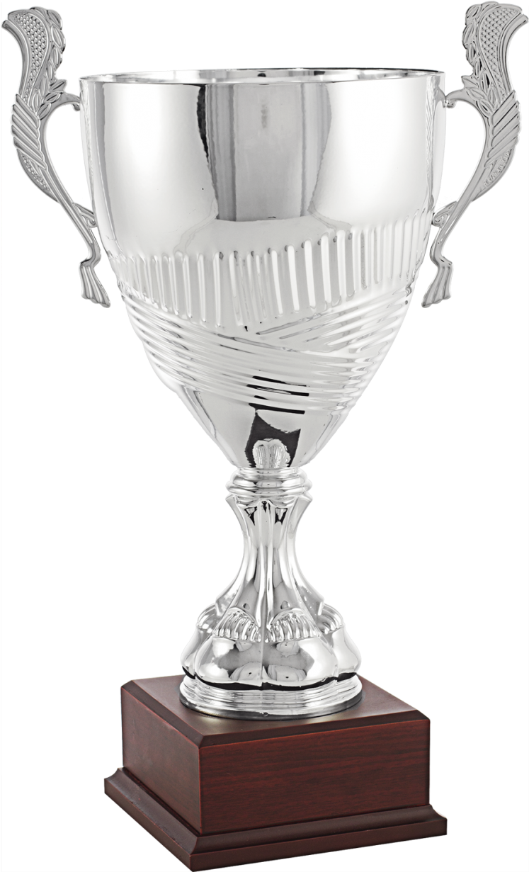 7248-861x1230 - Trophy Clipart - Large Size Png Image - PikPng