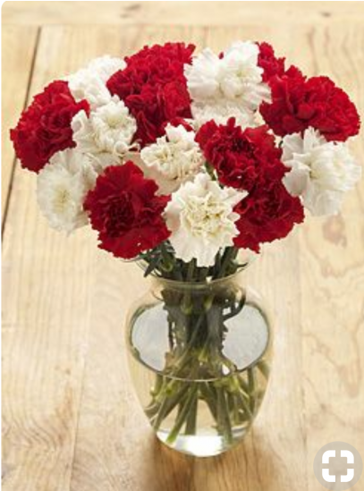 Red & White Allure - Red And White Carnation Bouquet Clipart (600x548), Png Download