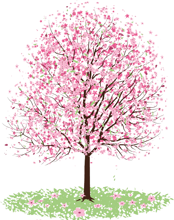 Cherry Blossom Clipart Transparent Tumblr Japanese Cherry Blossom Tree Png Large Size Png Image Pikpng