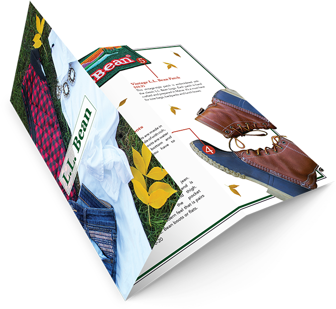 Bean Brochure - Book Clipart (720x633), Png Download