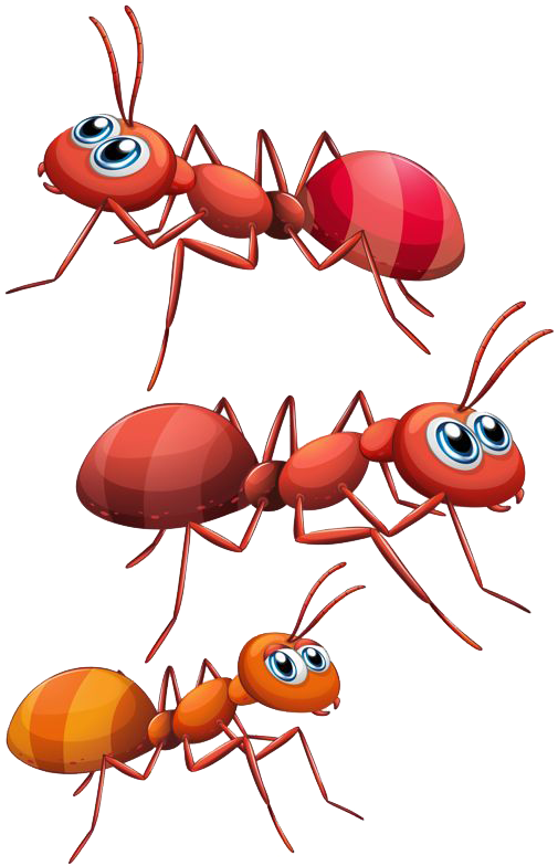 Ant Png - Ants Png Clipart Transparent Png - Large Size Png Image - PikPng