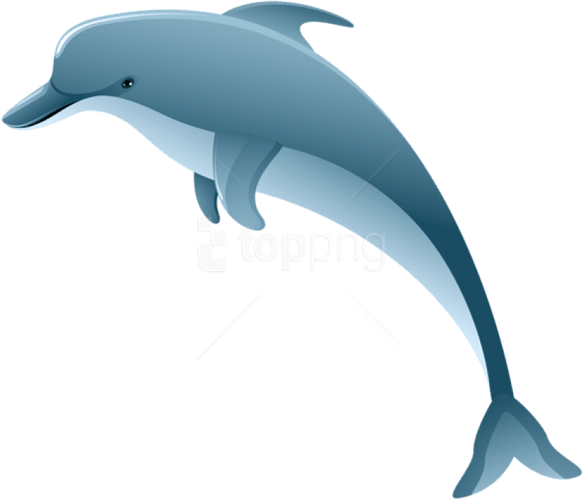 Free Png Download Dolphin Clipart Png Photo Png Images Dolphin Clipart No Background Transparent Png Large Size Png Image Pikpng