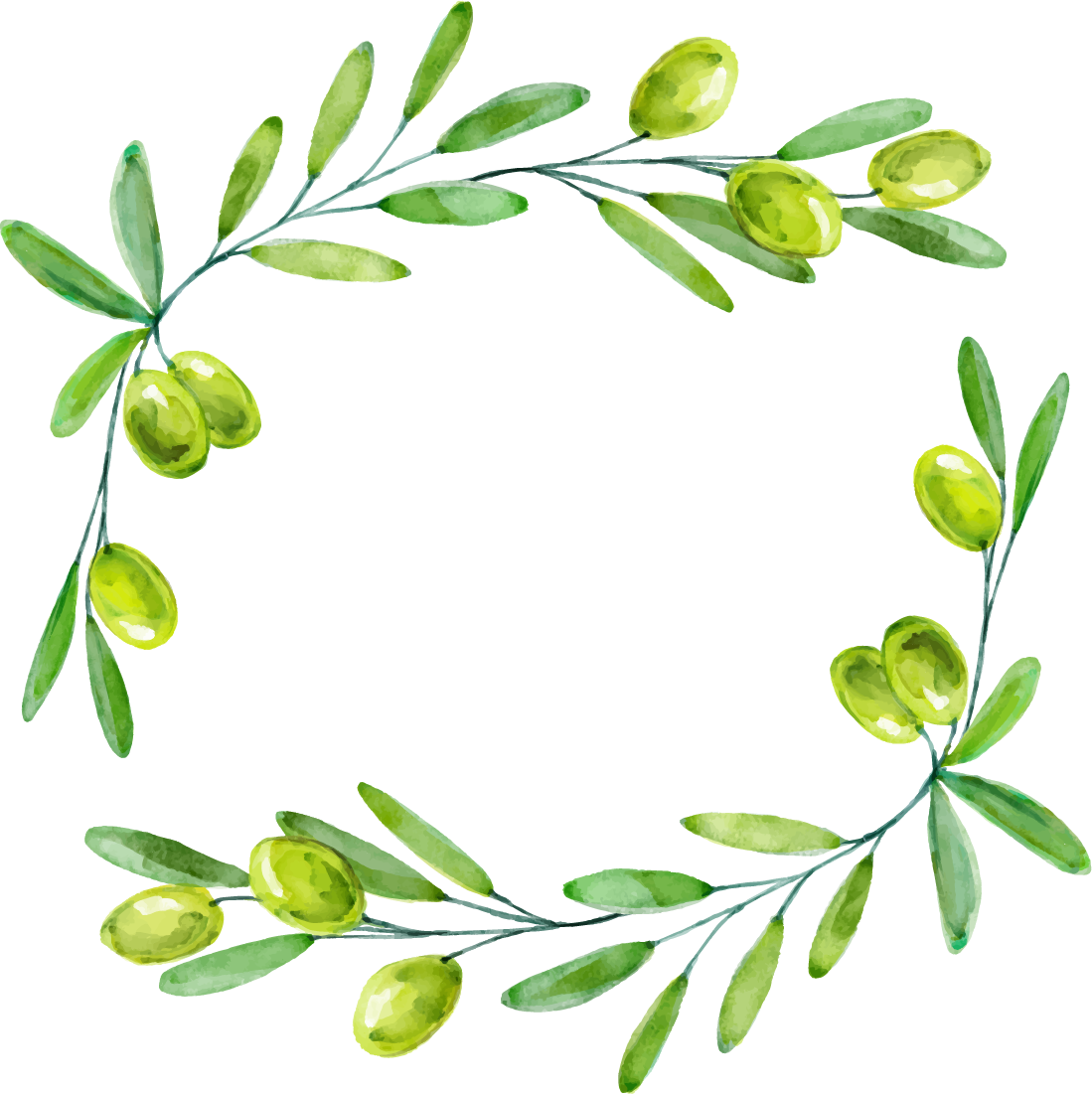 Olive Branch Flower Clip Art Olive Branch Png Download 699524 8d4 0660