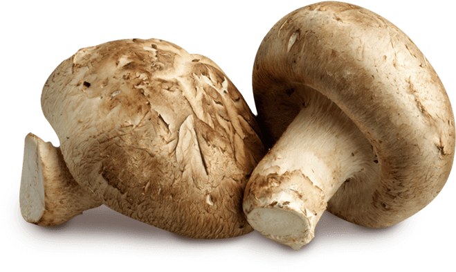 Shitake Mushrooms - פטריות Clipart - Large Size Png Image - Pikpng