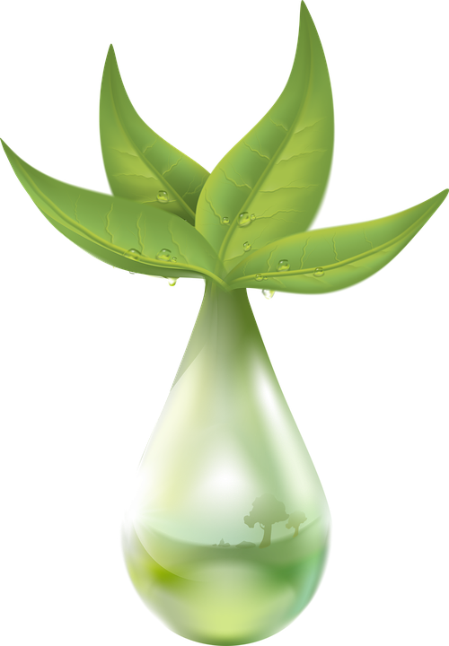 Extraction Plant Liquid Drop Of Water Leaf Green Plant Extract Png Clipart Large Size Png Image Pikpng