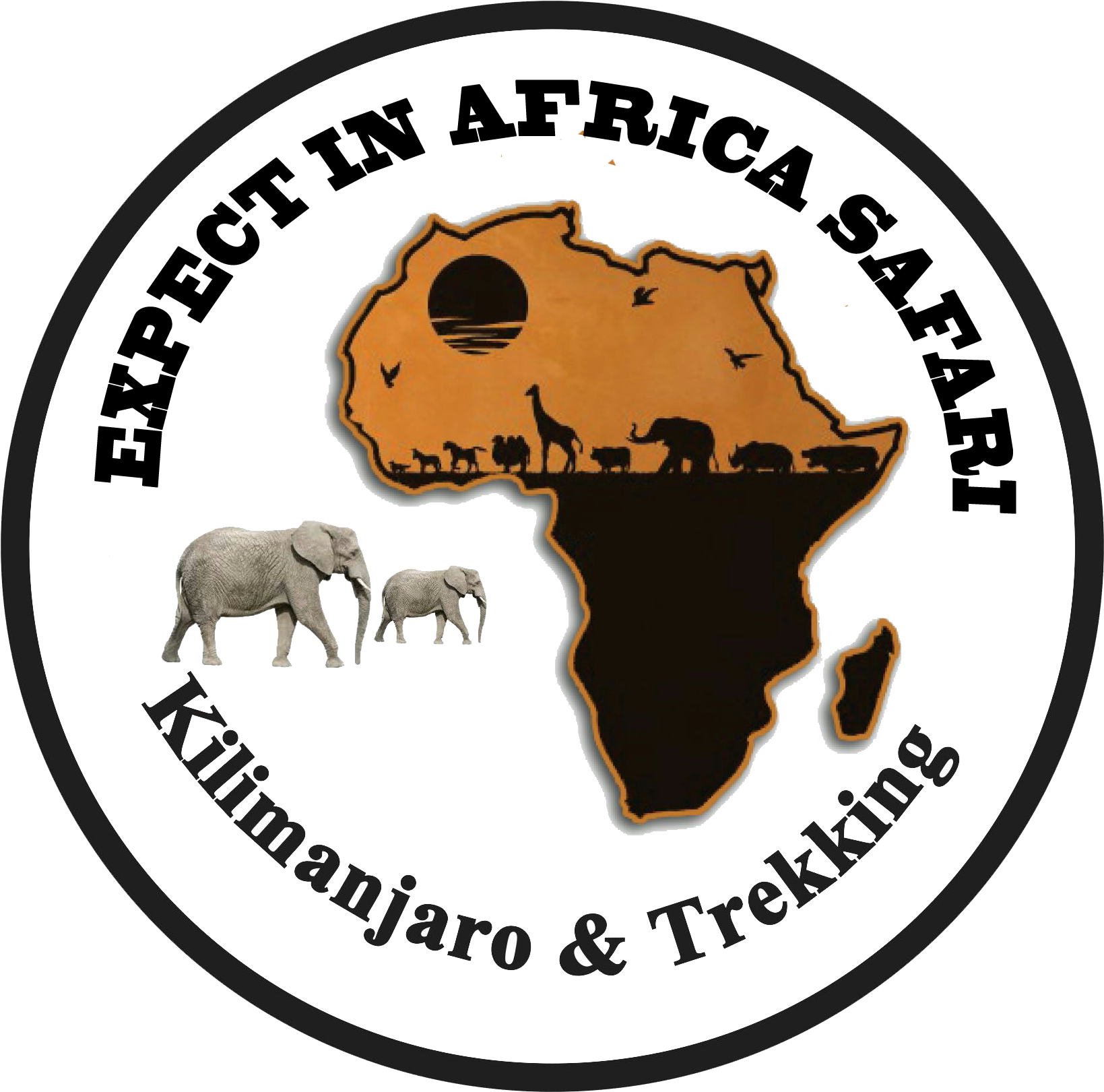 Expect In Africa Safari - Minsas Security Agency Logo Clipart - Large ...