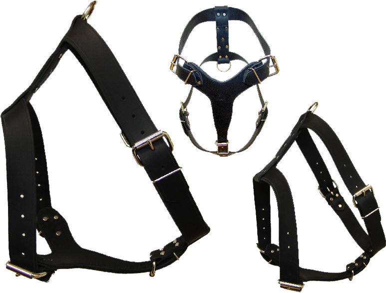 Leather Harness Harness Png Clipart Large Size Png Image Pikpng