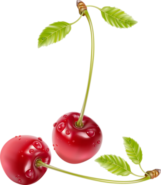 Cherrys Realistic Clipart - Large Size Png Image - PikPng