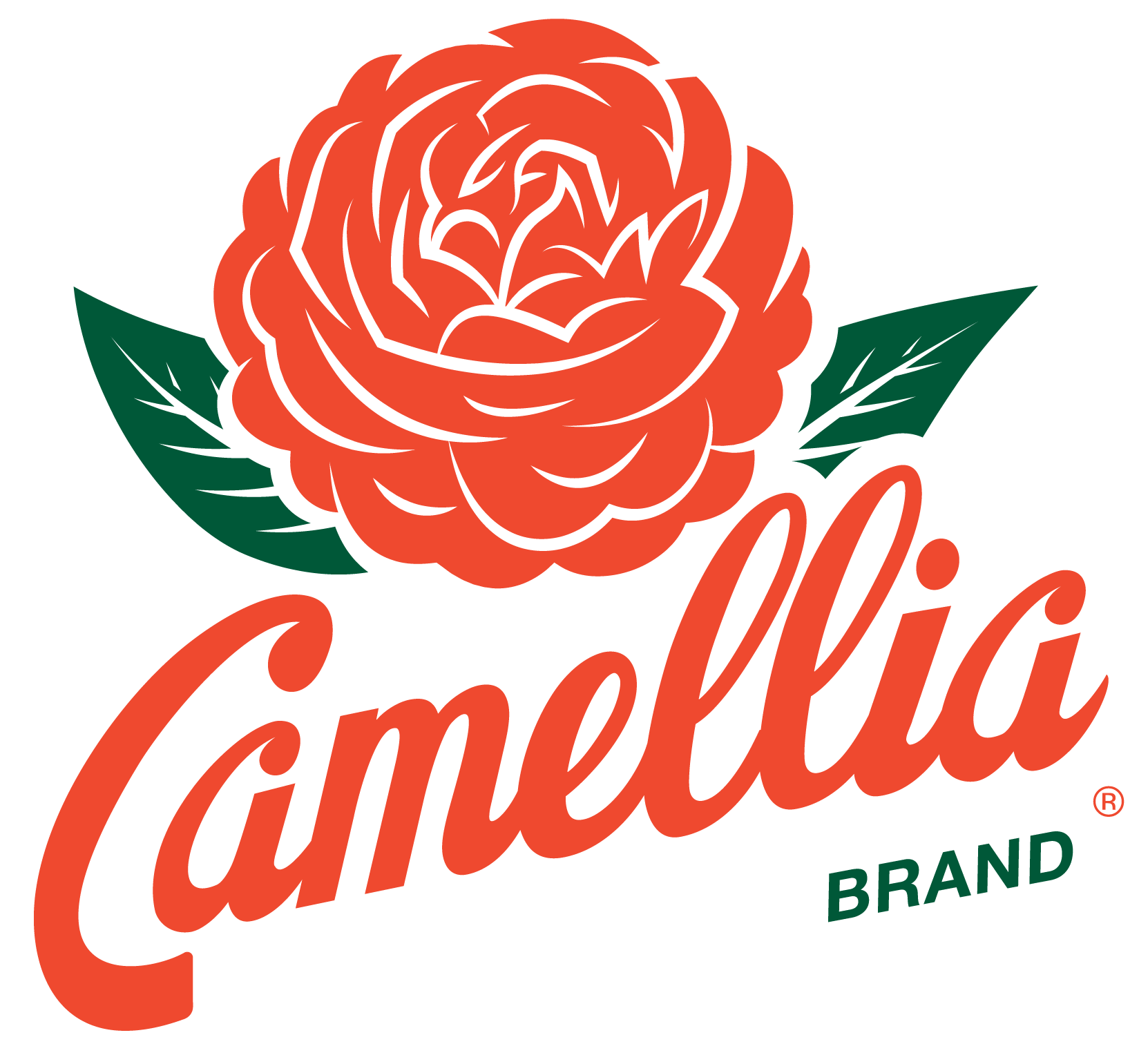 Camellia Beans Logo Clipart (2000x2000), Png Download