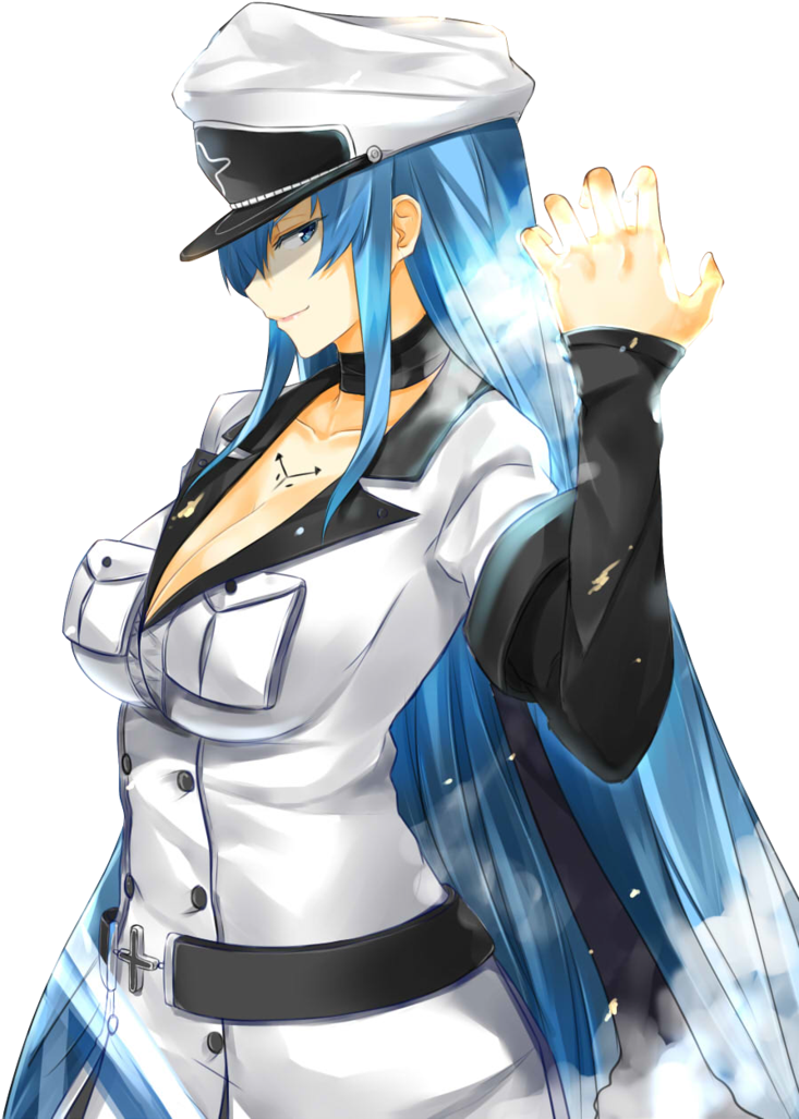 Download Akame Ga Kill - Akame Ga Kill Esdeath Png Clipart Png Download ...