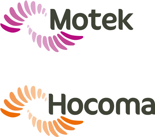 Hocoma Motek Logos - Hocoma Clipart (749x800), Png Download