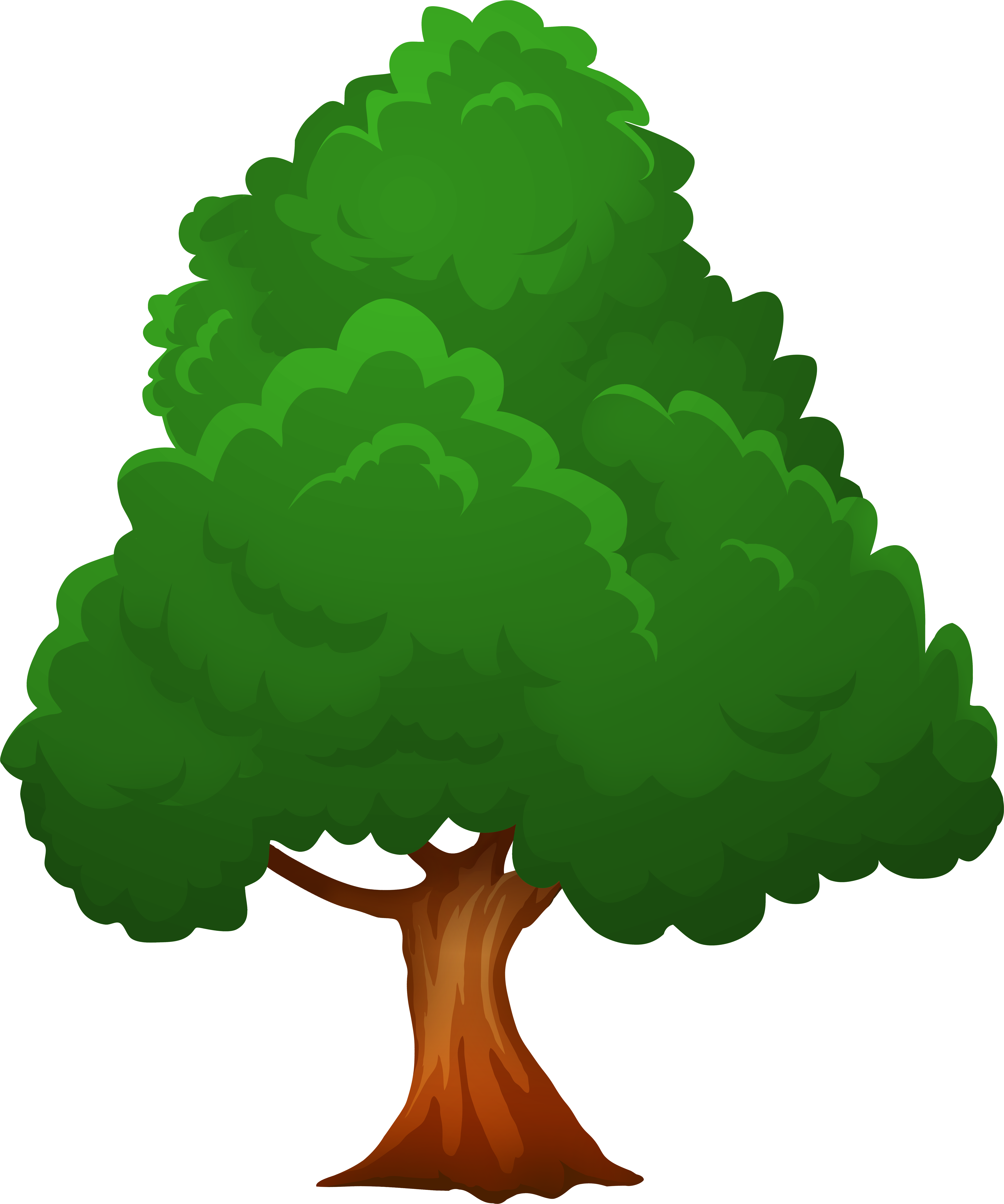 Big Green Tree Png Clip Art Transparent Png (6679x8000), Png Download