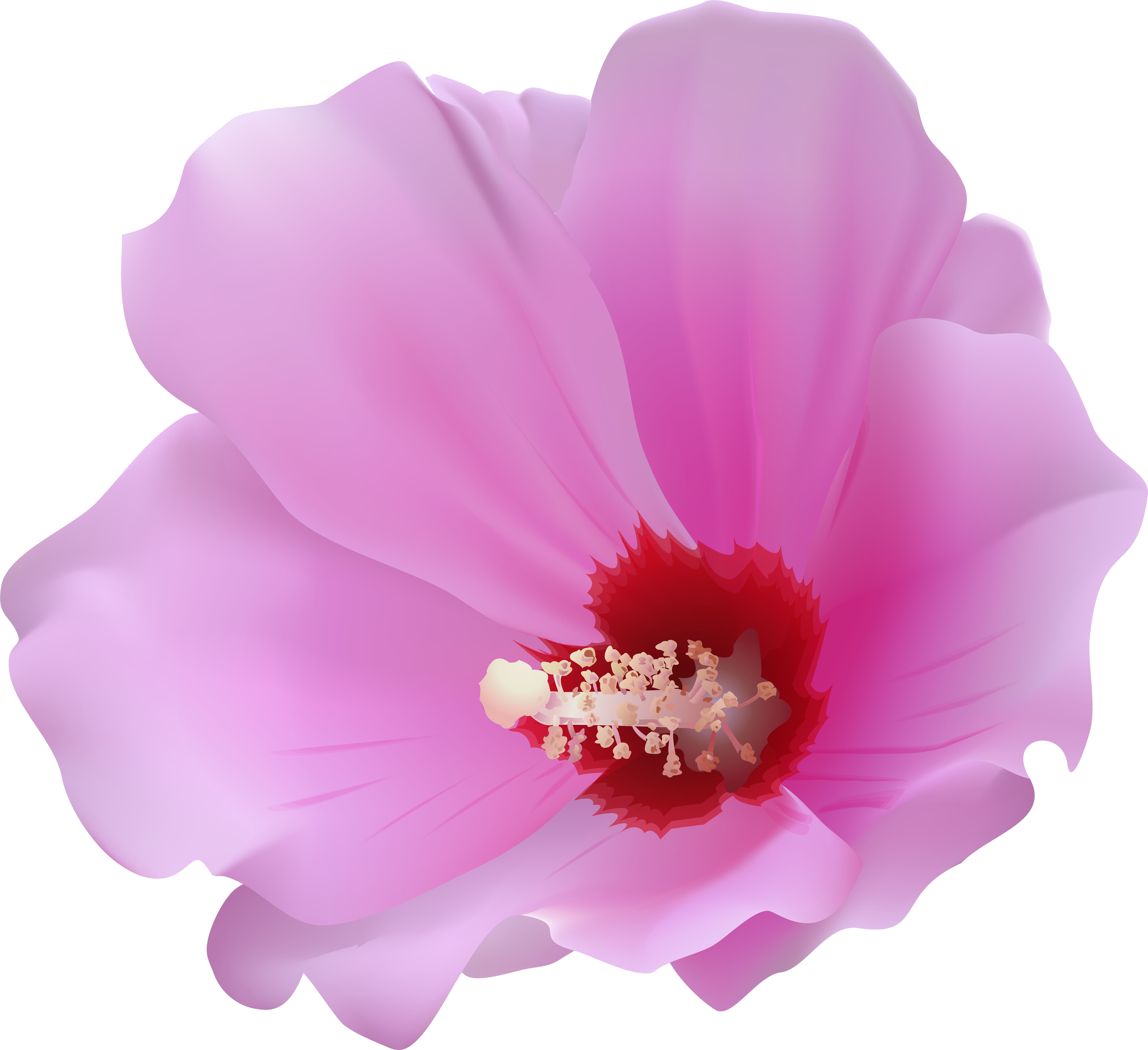 Free Png Download Pink Hibiscus Transparent Png Images Clipart (850x777), Png Download