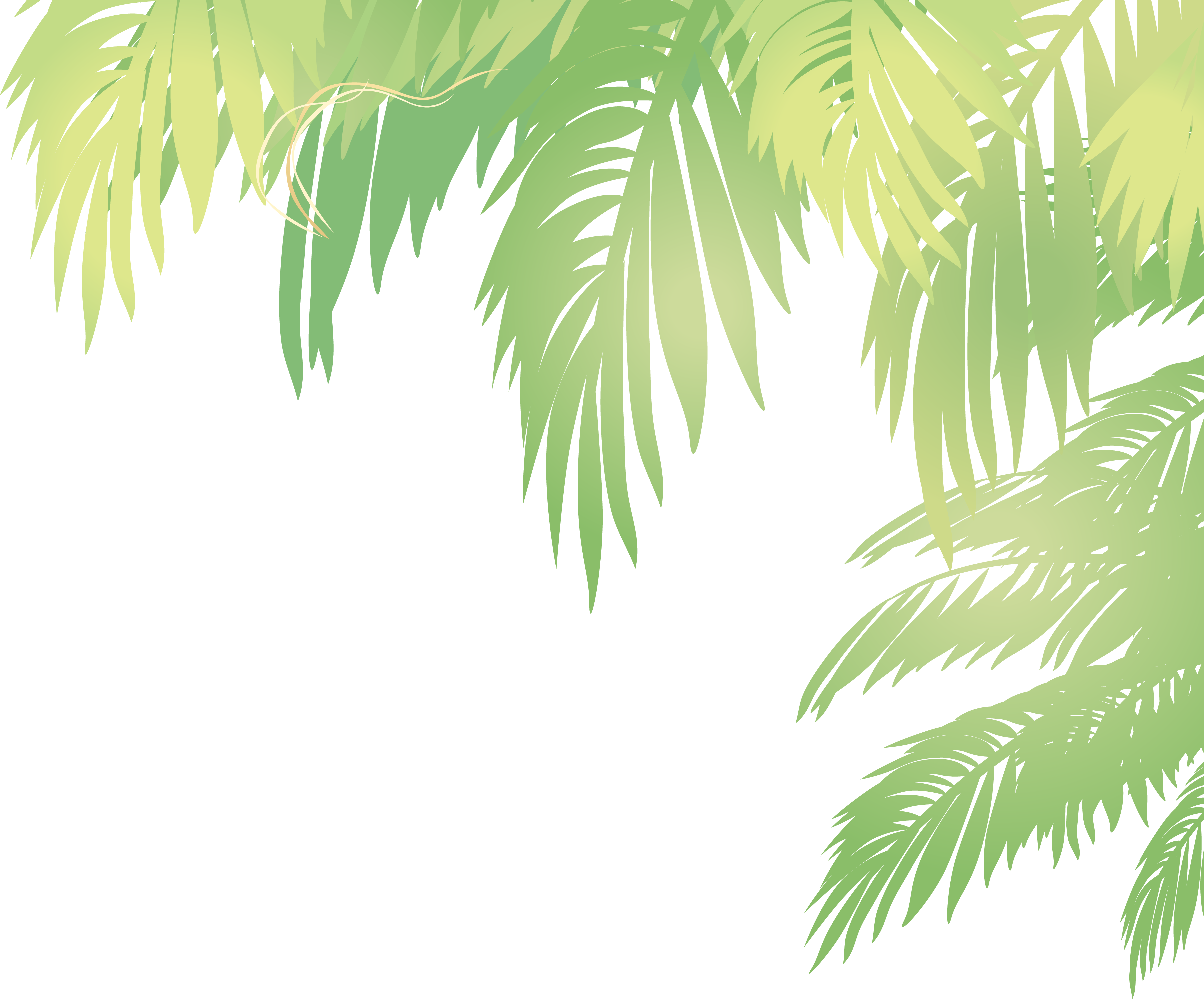 3612 X 2995 20 Palm Leaves Png Vector Clipart Large Size Png Image Pikpng
