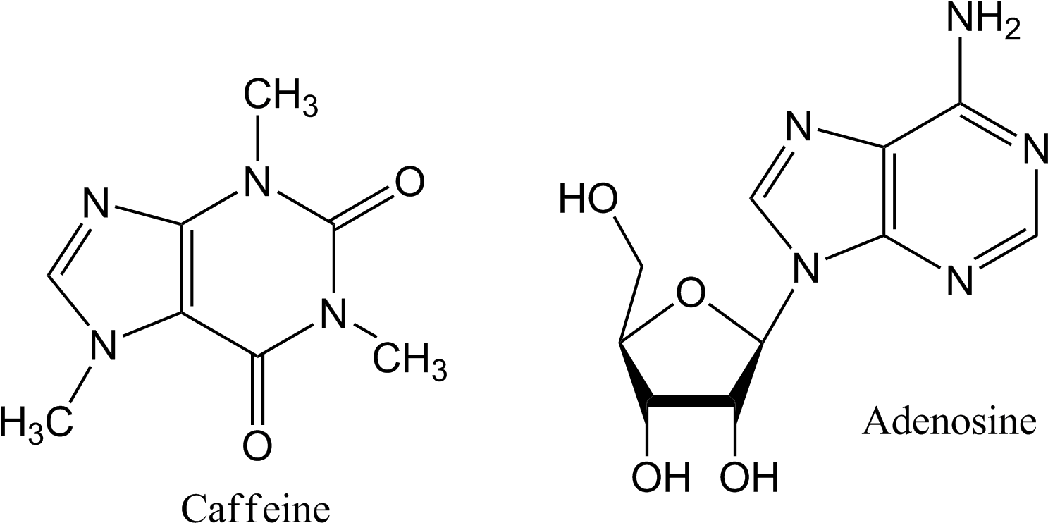 Caffeine And Adenosine Chiral Centers In Atp Clipart Large Size Png Image Pikpng