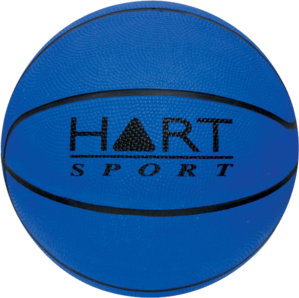Basketballs Png Clipart (1000x1000), Png Download