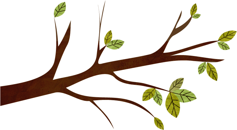 We Provide Clients With An Understanding Of The World - Twig Clipart (796x482), Png Download