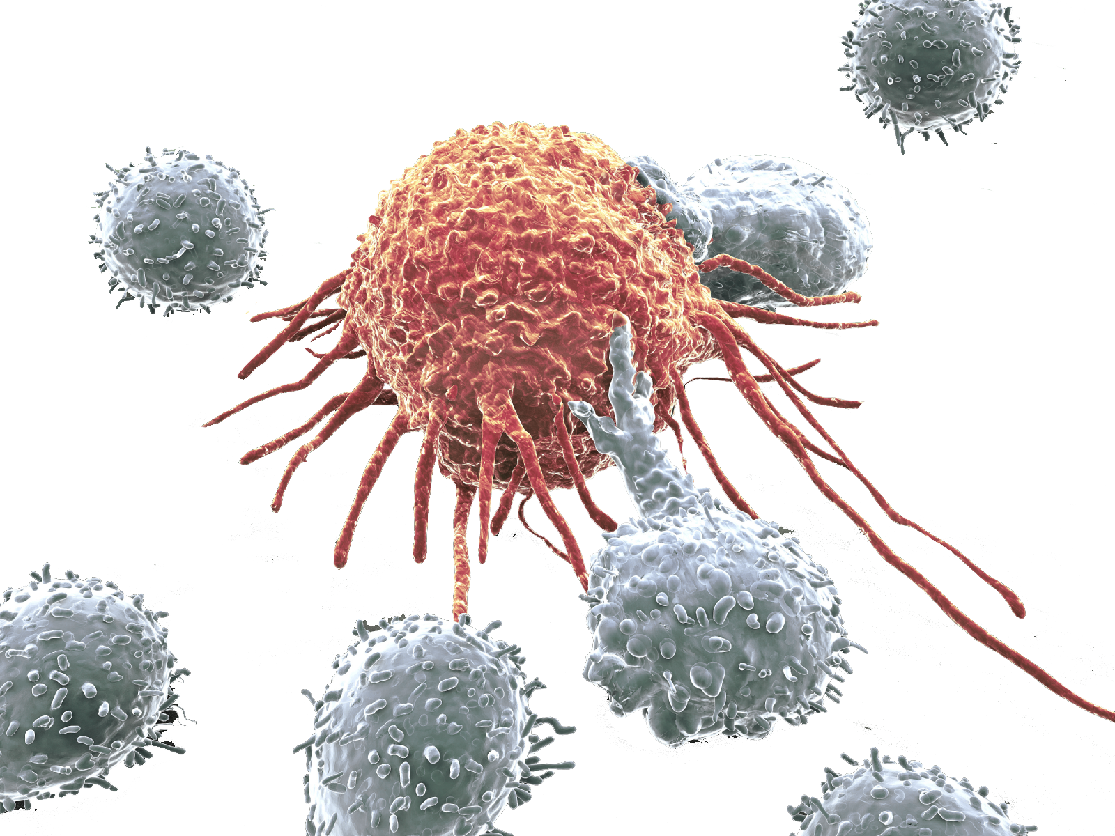 Download Cancer Cell Hero - Transparent Cancer Cells Png Clipart Png