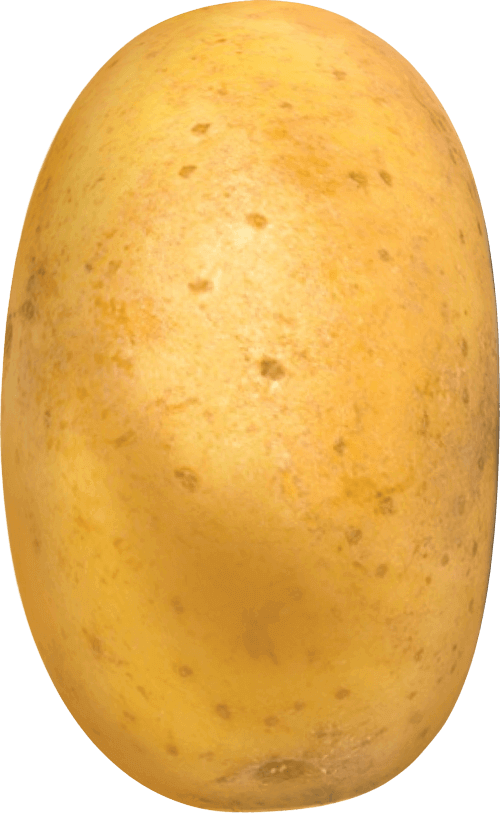 Potato Clipart - Large Size Png Image - PikPng