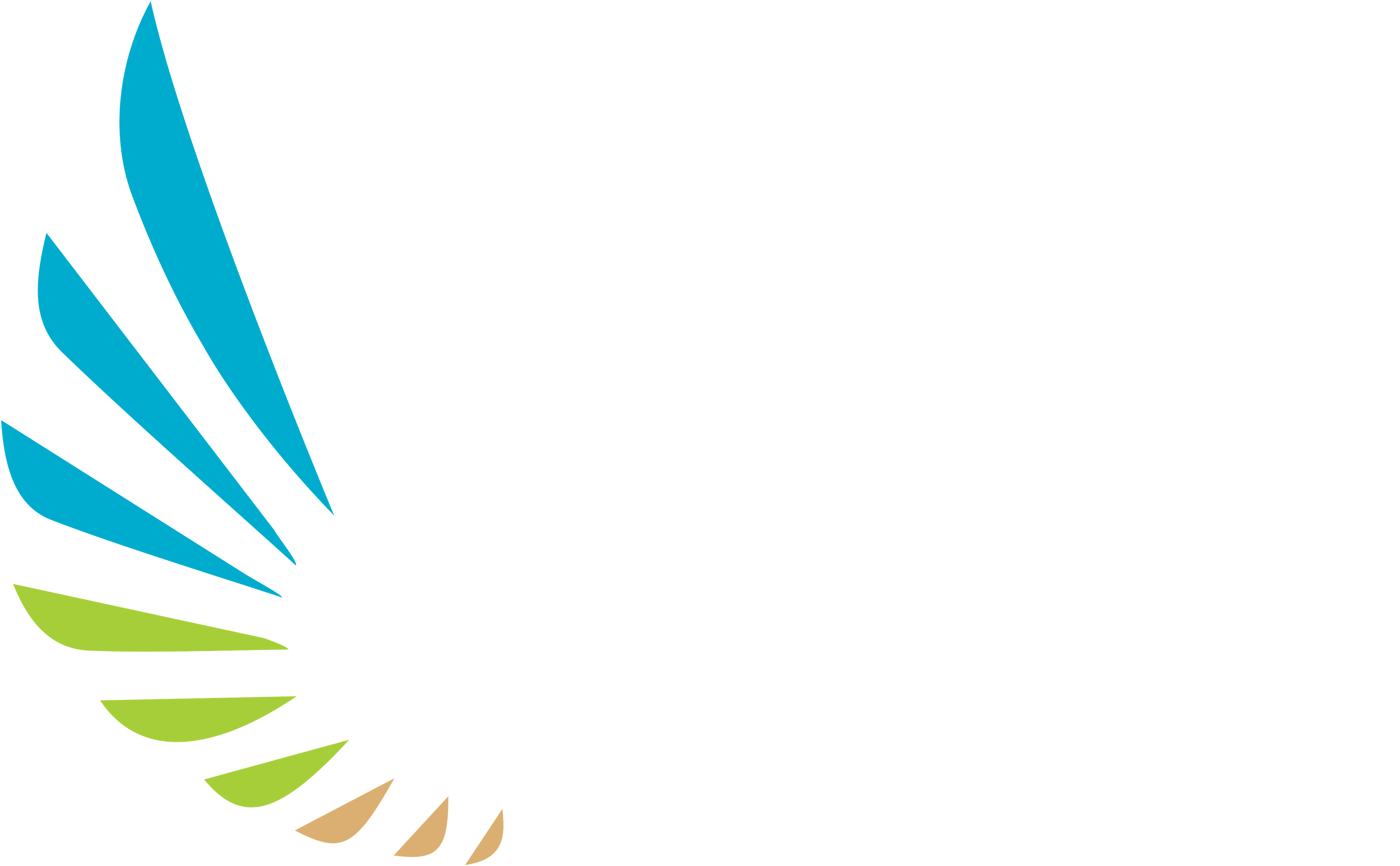 Apa Color Logo White Letters Transparent - Graphic Design Clipart (5000x4000), Png Download