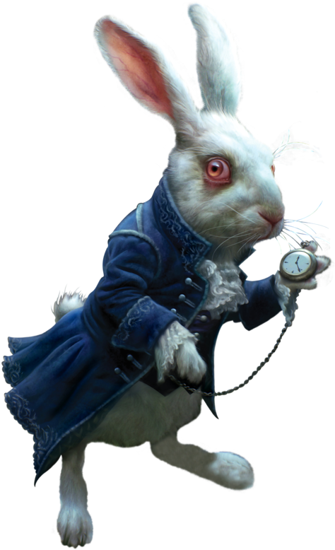 47 478025  Rabbit Png Alice In Wonderland Rabbit Alice 