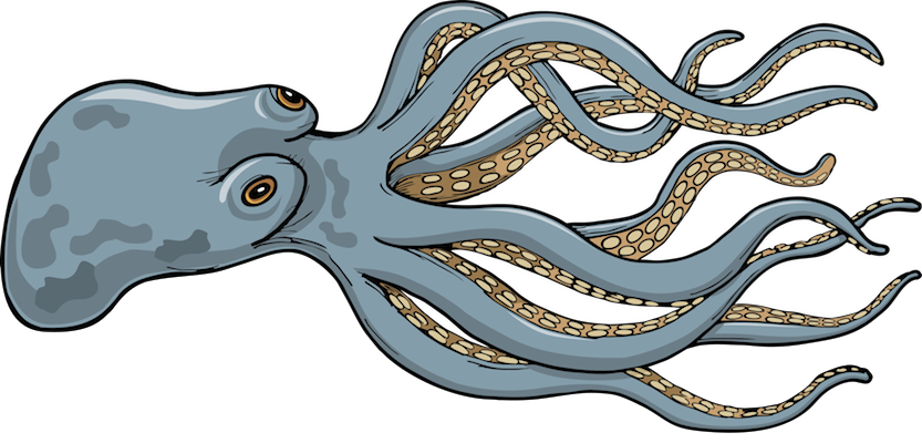 Download Giant Squid - Giant Squid - Illustration Clipart Png Download