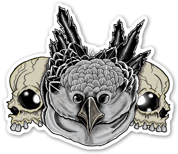 Download Owl Skull Sticker - Illustration Clipart Png Download - PikPng