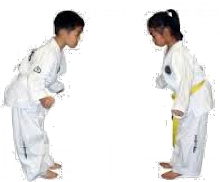Dojo Etiquette - Bow Martial Arts Png Clipart (700x579), Png Download