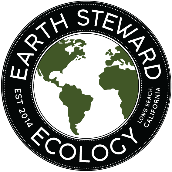 Ecology Png , Png Download - Earth Symbol Transparent Clipart - Large ...