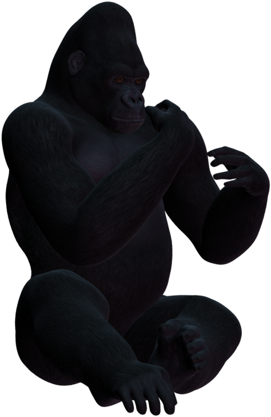 Gorilla Png Clipart (1024x1024), Png Download