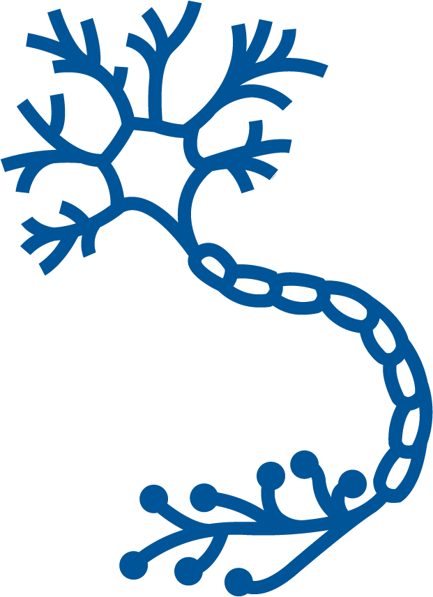 Download - Nerve Icon Clipart , Png Download - Nervous System Icon Png