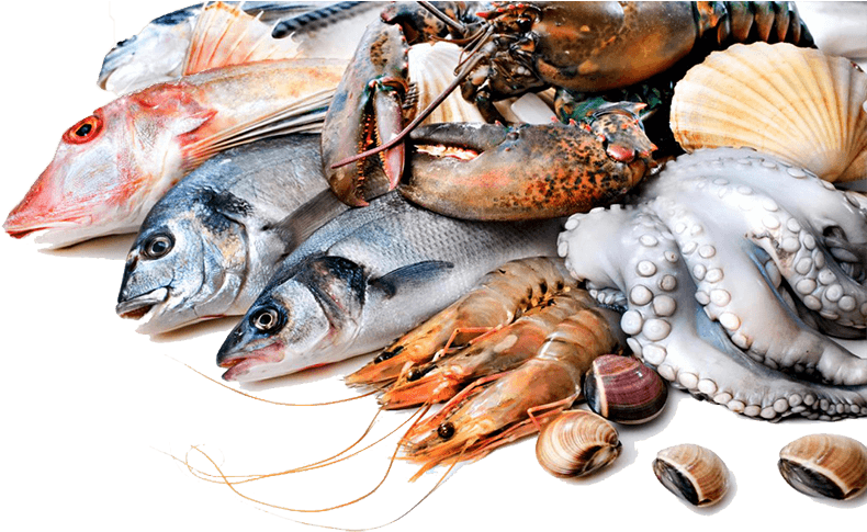 Fresh Fish Png Download Seafood Png Clipart Large Size Png Image Pikpng