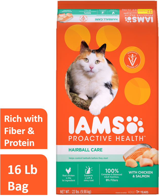 Kitten Iams Cat Food Clipart - Large Size Png Image - PikPng