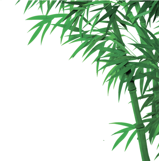 Download Bamboo Png, Download Png Image With Transparent Background